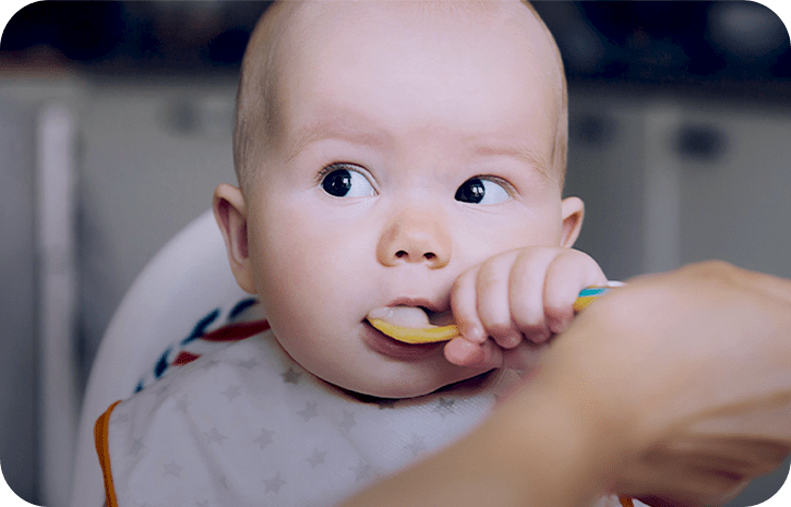 Immunsystem und Beikost | Babyservice